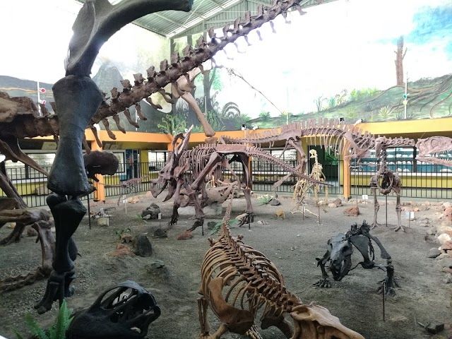 Natural Science Museum La Salle